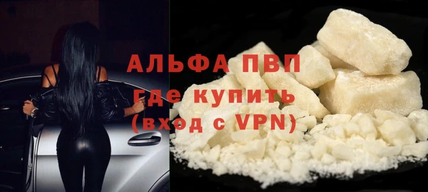 спайс Баксан