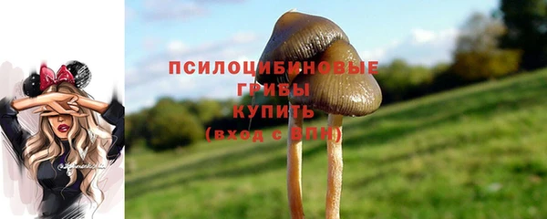 спайс Баксан