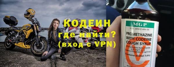 прущие грибы Саяногорск